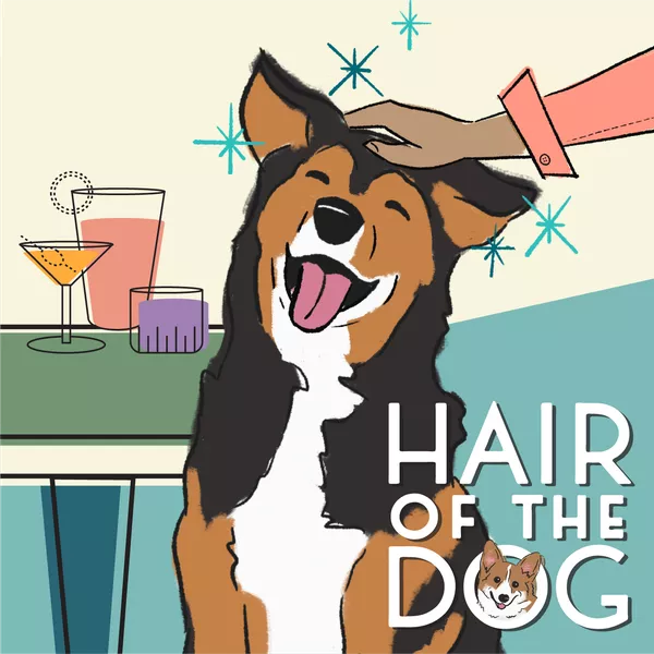 HAIR OF THE DOG